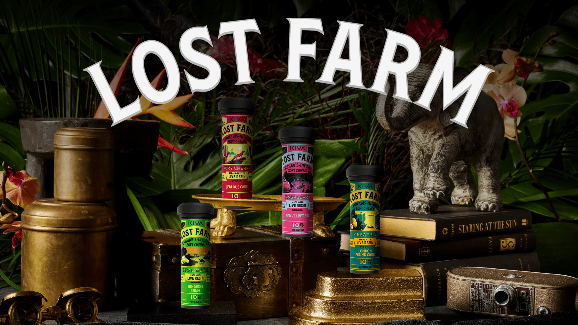 Lost Farm live resin cannabis gummies and fruit chews at Ayr Wellness