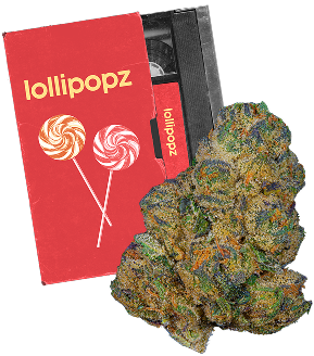 Lollipopz bud