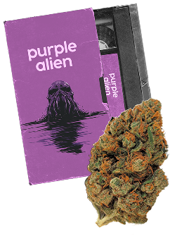 Purple Alien product