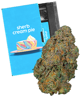 Sherb Cream Pie Bud