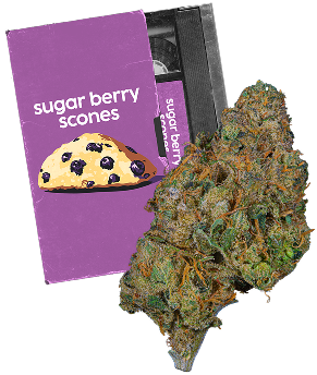 Sugar Berry Scones bud