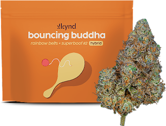New Kynd Bouncing Buddha Image