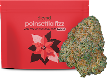 New Kynd Poinsettia Fizz Image