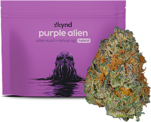 New Kynd Purple Alien Image