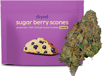 New Kynd Sugar Berry Scones Image